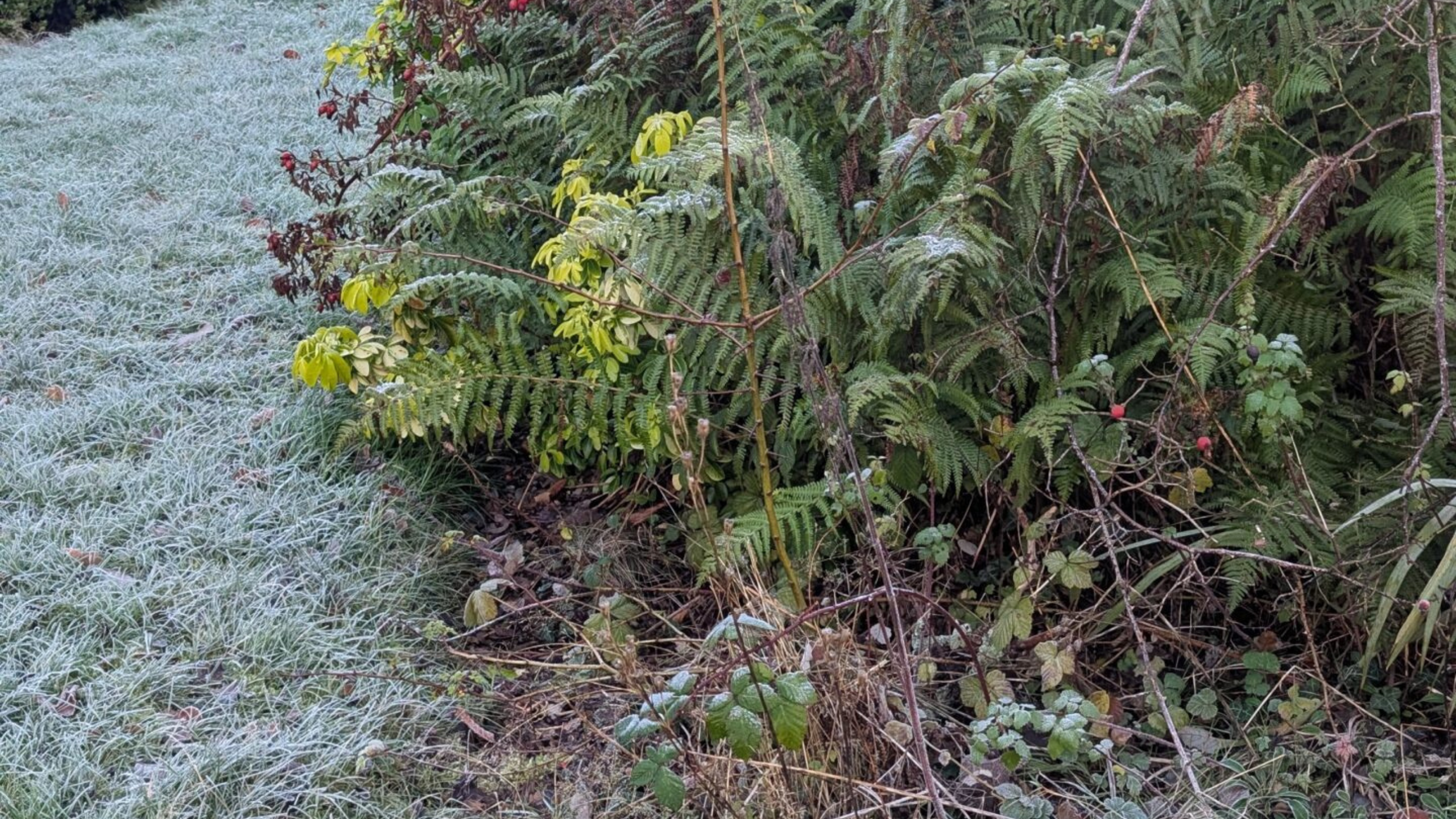 Untitled design (10) Untitled design (10)