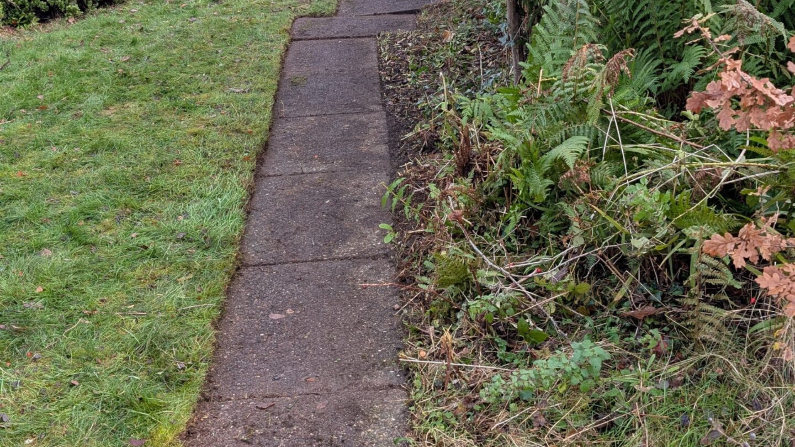 Untitled design (11)