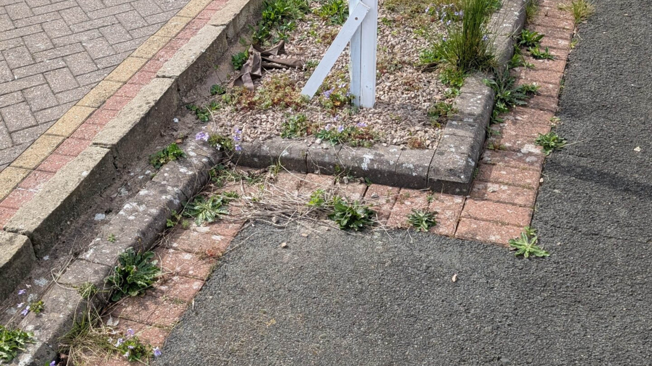 Untitled design (8) Untitled design (8)