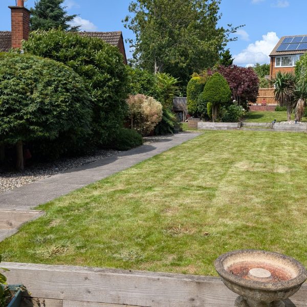 PXL_20250614_133559133